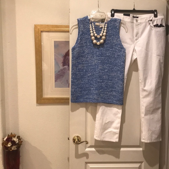Linden Hill Blue, White Sleeveless Sweater Final price unless you bundle 3 items - Picture 1 of 4